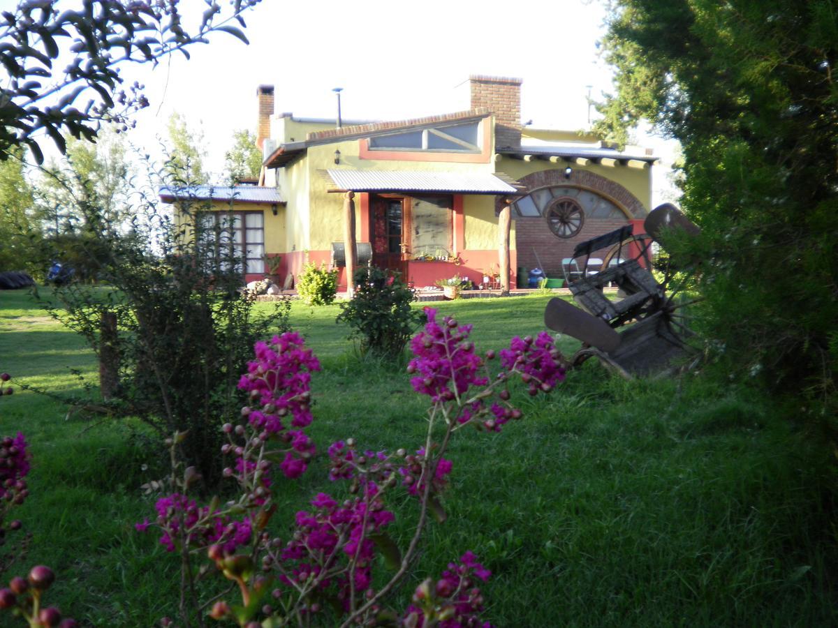 Posada De Campo Mamull Mapu Rancul Kültér fotó