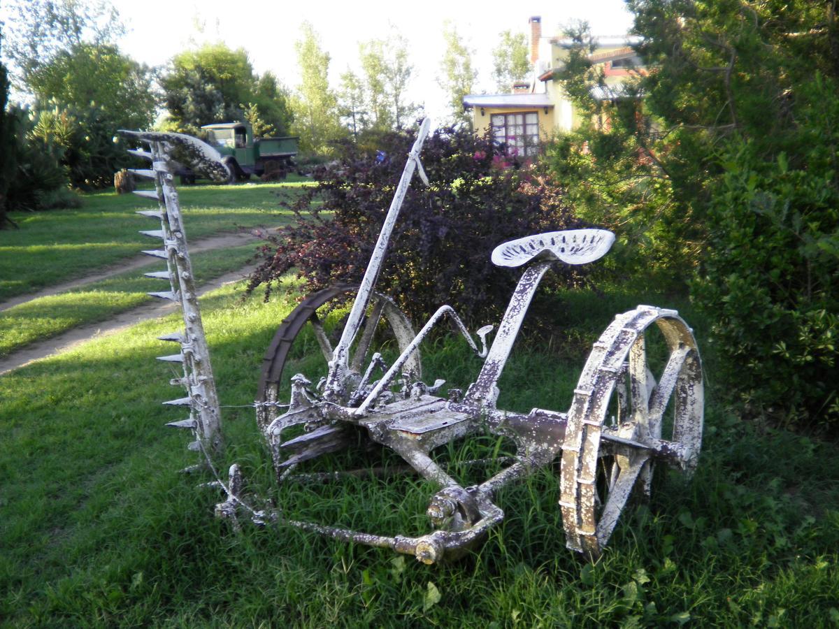 Posada De Campo Mamull Mapu Rancul Kültér fotó
